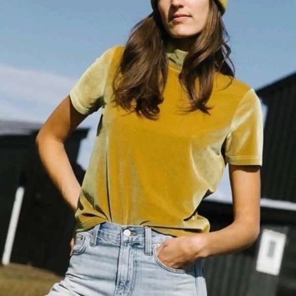 Madewell Gold Velvet Mock Neck Short Sleeve Top